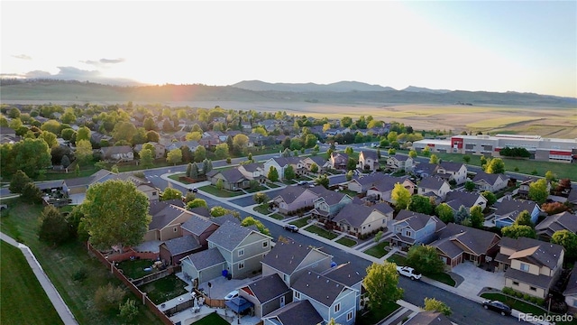 3389 Hewitt St, Loveland, CO 80538 - photo 23