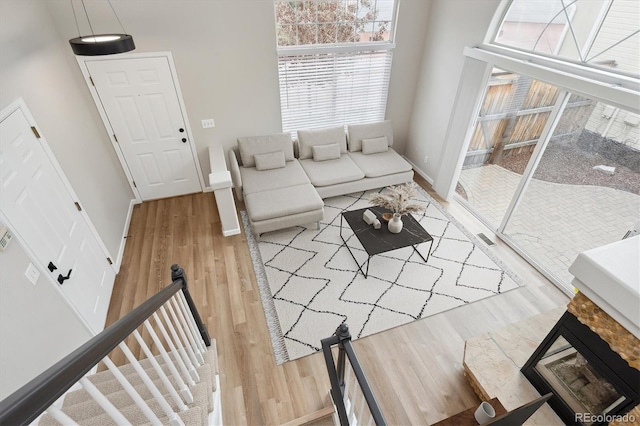 living room featuring hardwood / wood-style flooring