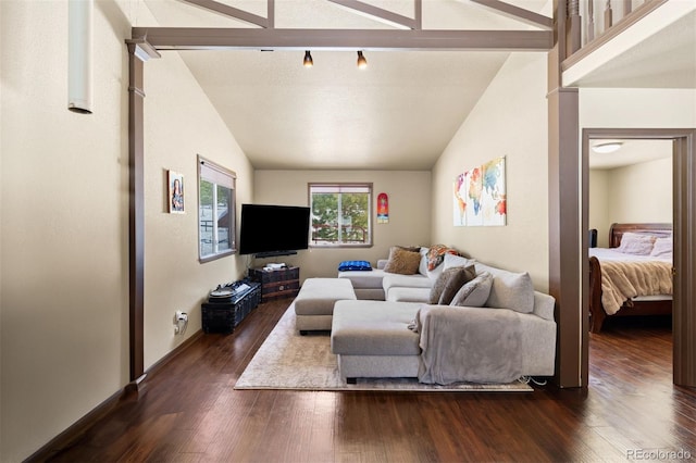 living room with lofted ceiling and dark wood finished floors