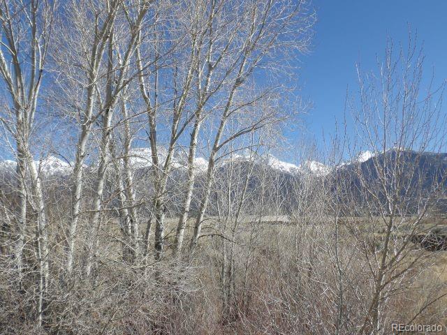 530 Camino Del Rey, Crestone, CO 81131