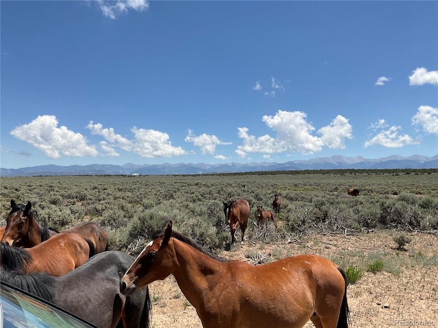 LOT11 Westcliff Dr, San Luis, CO 81152 - photo 11