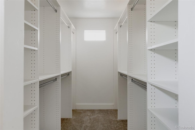 1322 Raleigh St, Denver, CO 80204 - walk in closet featuring carpet flooring