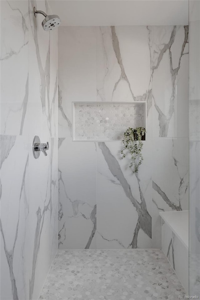 1322 Raleigh St, Denver, CO 80204 - bathroom featuring a marble finish shower