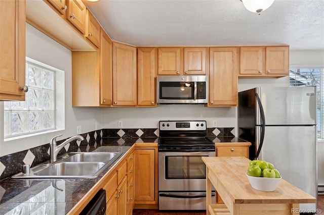 3715 Wolff St, Denver, CO 80212 - kitchen featuring stainless steel appliances, wood counters, a sink, and light brown cabinets