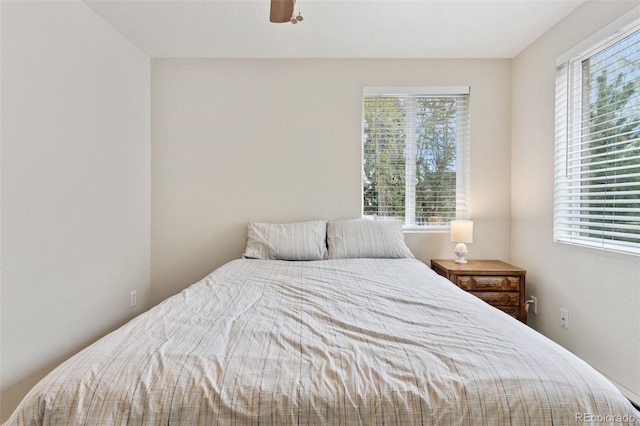 3715 Wolff St, Denver, CO 80212 - bedroom with multiple windows and a ceiling fan
