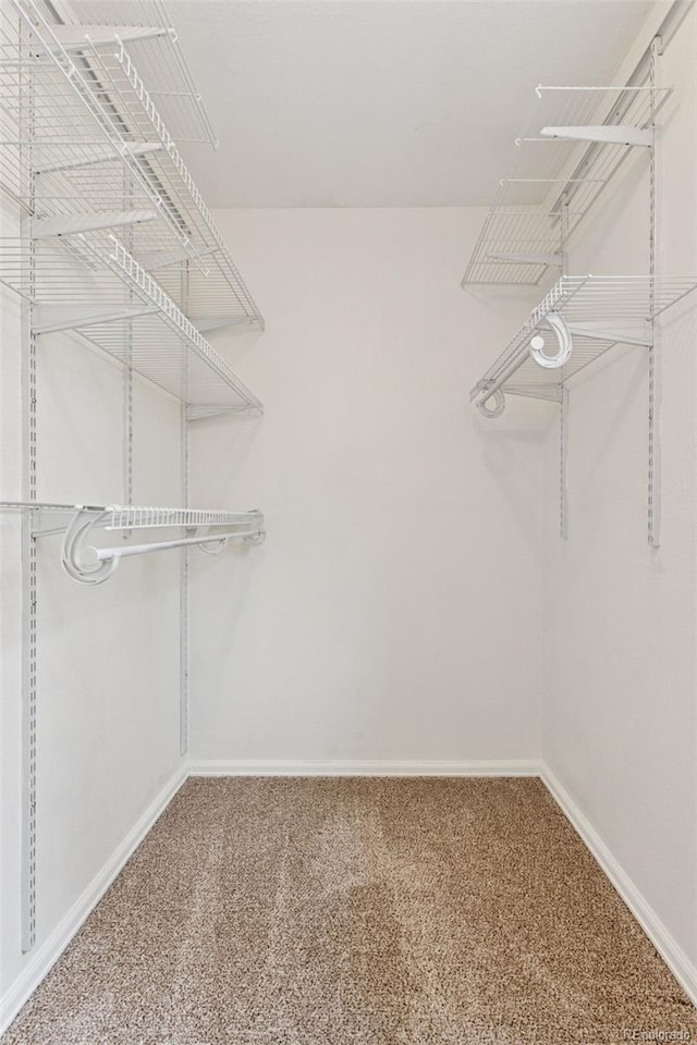 3715 Wolff St, Denver, CO 80212 - spacious closet with carpet
