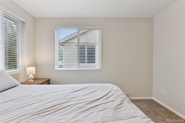 3715 Wolff St, Denver, CO 80212 - carpeted bedroom with baseboards
