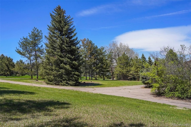 4480 S Franklin St, Cherry Hills Village, CO 80113 - surrounding community with a lawn