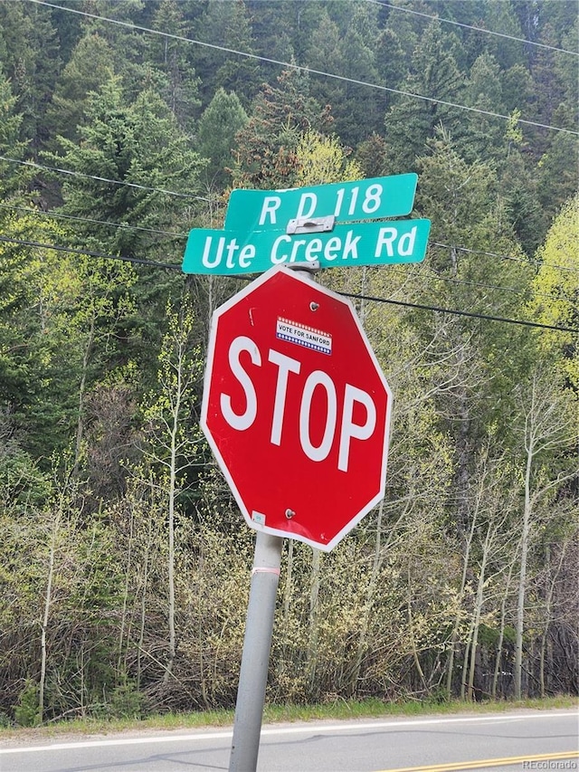 Ute Creek Rd, Idaho Springs, CO 80452 - photo 1