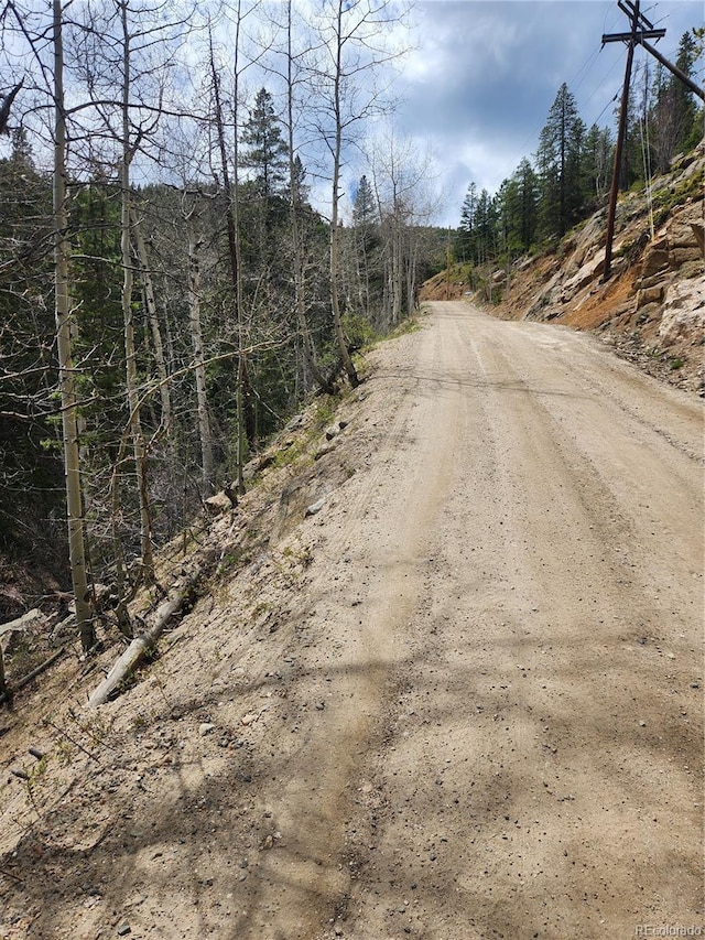 Ute Creek Rd, Idaho Springs, CO 80452 - photo 3