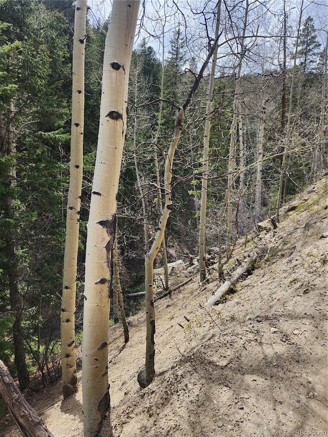 Ute Creek Rd, Idaho Springs, CO 80452 - photo 4