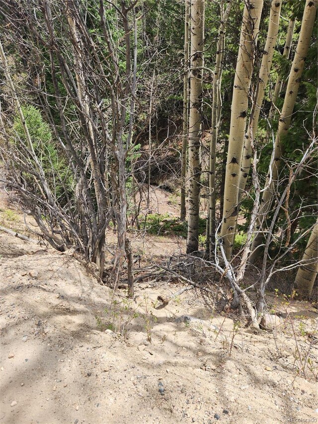 Ute Creek Rd, Idaho Springs, CO 80452 - photo 5