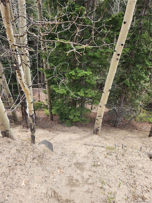 Ute Creek Rd, Idaho Springs, CO 80452 - photo 6