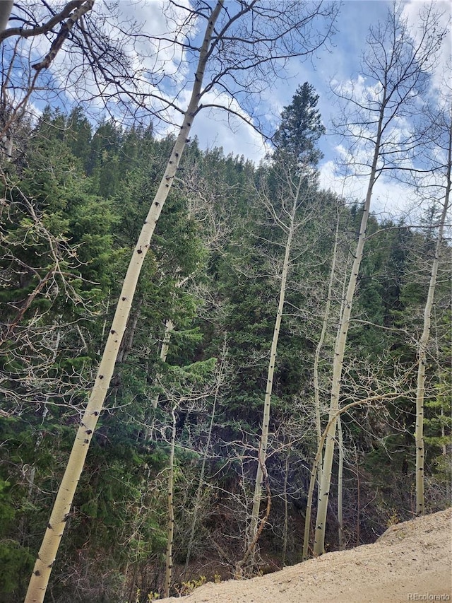 Ute Creek Rd, Idaho Springs, CO 80452 - photo 7