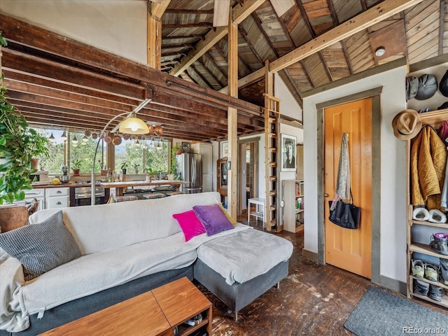 366 Houston St, Bailey, CO 80421 - living area with lofted ceiling