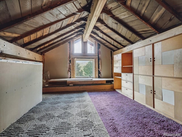 366 Houston St, Bailey, CO 80421 - view of attic