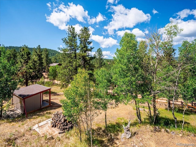 366 Houston St, Bailey, CO 80421 - view of yard featuring an outdoor structure