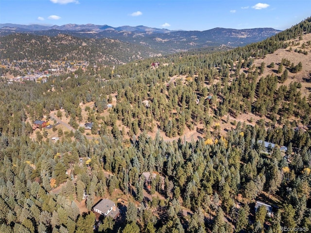 birds eye view of property featuring a mountain view