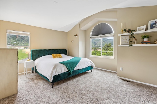 133 Wheat Ridge St, Palmer Lake, CO 80133 - carpeted bedroom featuring lofted ceiling and baseboards