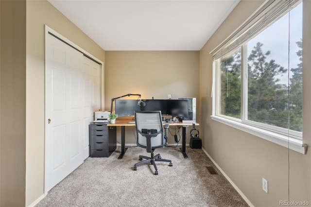 133 Wheat Ridge St, Palmer Lake, CO 80133 - carpeted office space featuring baseboards