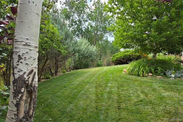 22386 E Arbor Pl, Aurora, CO 80016 - photo 35