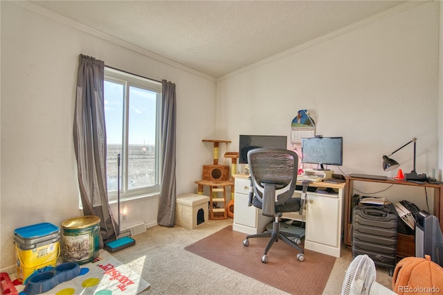 carpeted office space with crown molding, plenty of natural light, and a textured ceiling
