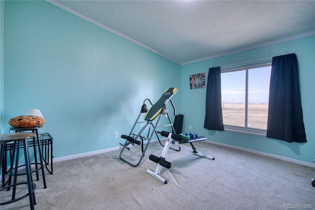 exercise area featuring crown molding, carpet floors, and a textured ceiling