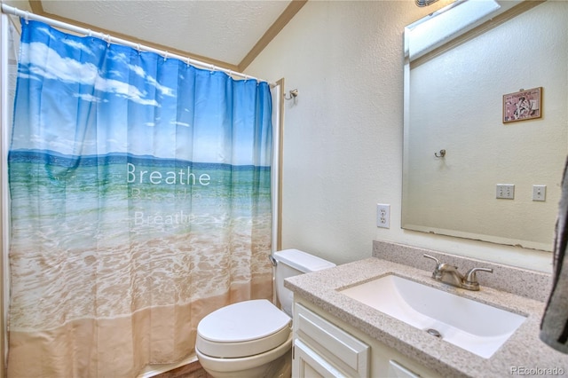 full bathroom featuring toilet, curtained shower, vanity, and a textured wall