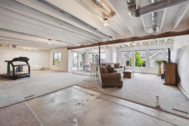 18926 W 94th Ave, Arvada, CO 80007 - below grade area with healthy amount of natural light