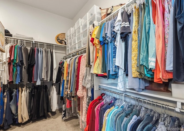 18926 W 94th Ave, Arvada, CO 80007 - walk in closet featuring carpet floors