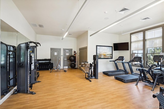 18926 W 94th Ave, Arvada, CO 80007 - exercise room with light wood-type flooring