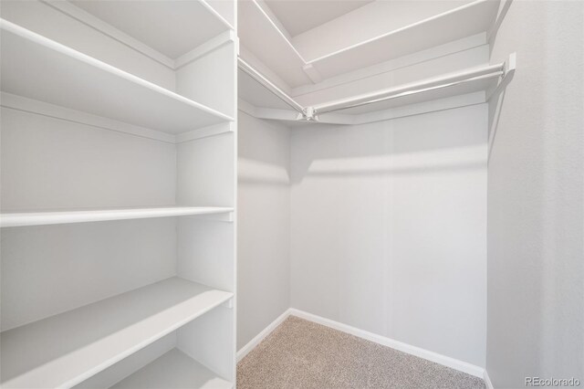 22384 E 49th Pl, Aurora, CO 80019 - spacious closet with carpet flooring