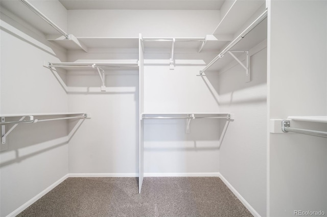 22384 E 49th Pl, Aurora, CO 80019 - spacious closet with carpet floors