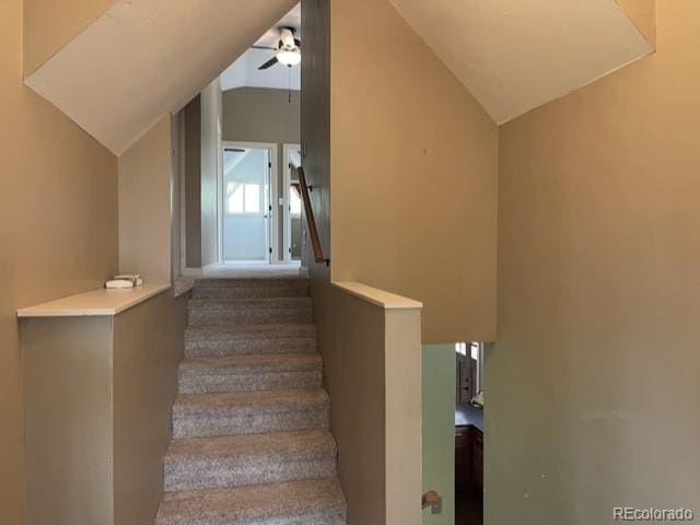 staircase with lofted ceiling, dark colored carpet, and ceiling fan