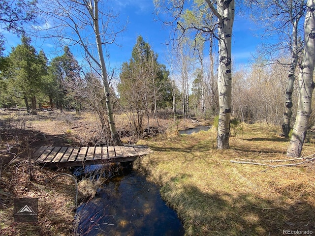 view of yard featuring a dock and a water view