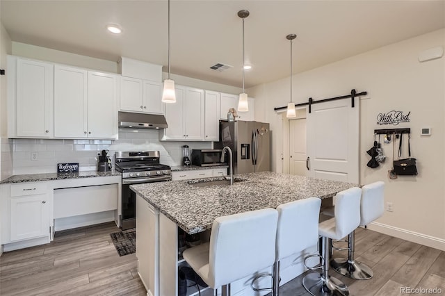 16841 Askins Loop Unit 105, Parker, CO 80134 - kitchen with appliances with stainless steel finishes, under cabinet range hood, a sink, light wood-style flooring, and a barn door