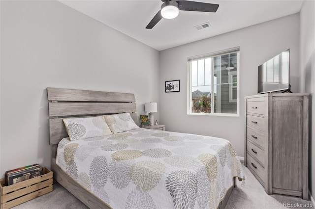 895 Golden Peak Dr, Erie, CO 80516 - photo 21
