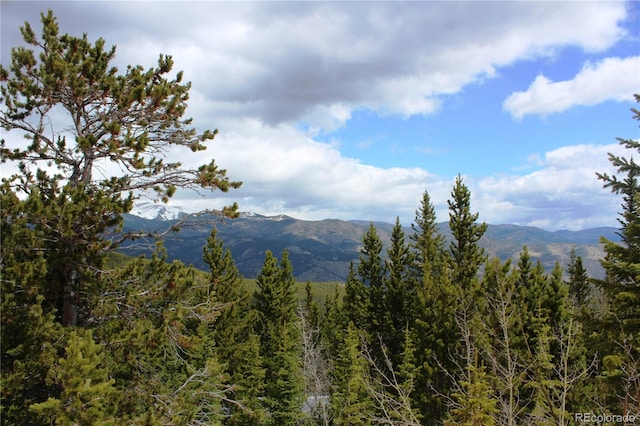 00 Lamertine Rd, Idaho Springs CO, 80452 land for sale