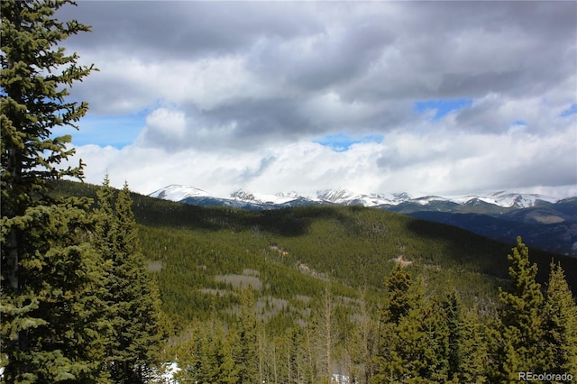 00 Lamertine Rd, Idaho Springs, CO 80452