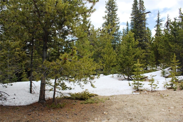 Listing photo 3 for 00 Lamertine Rd, Idaho Springs CO 80452