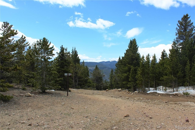 00 Lamertine Rd, Idaho Springs, CO 80452