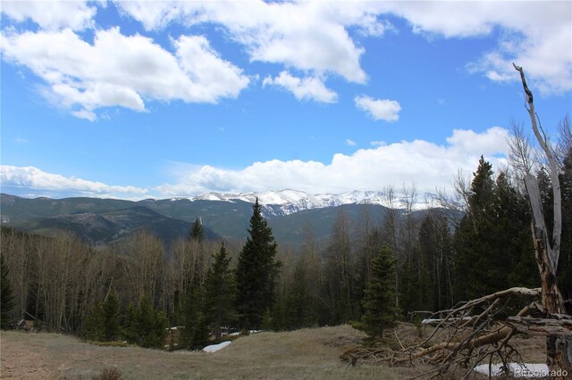 00 Lamertine Rd, Idaho Springs, CO 80452