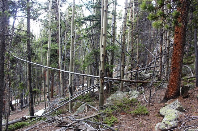 00 Lamertine Rd, Idaho Springs, CO 80452