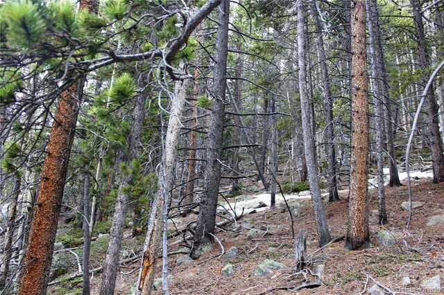 00 Lamertine Rd, Idaho Springs, CO 80452