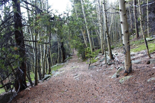 00 Lamertine Rd, Idaho Springs, CO 80452