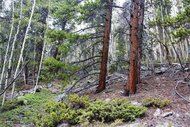 00 Lamertine Rd, Idaho Springs, CO 80452