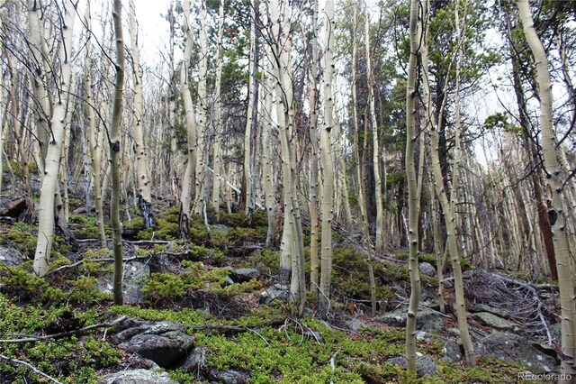 00 Lamertine Rd, Idaho Springs, CO 80452