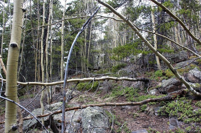 00 Lamertine Rd, Idaho Springs, CO 80452