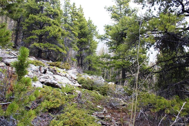 00 Lamertine Rd, Idaho Springs, CO 80452