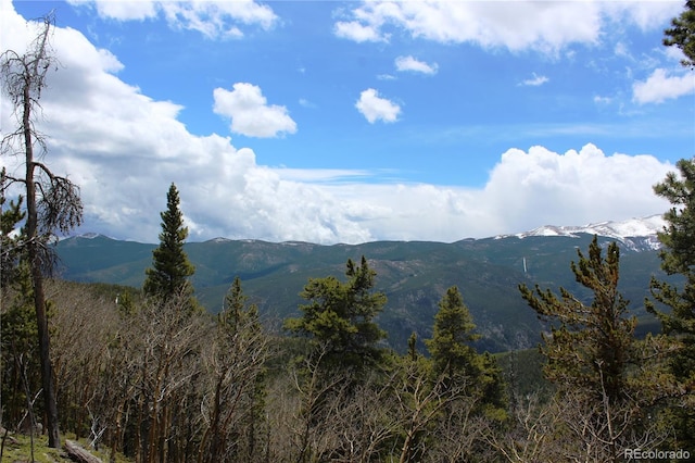 00 Lamertine Rd, Idaho Springs, CO 80452
